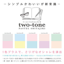 Load image into Gallery viewer, Kyoei B5 Shitajiki Two Tone Pastel Pencil Board