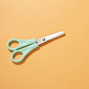 Pastel Coloured School Style Scissors