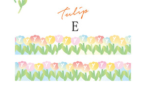 30mm wide rainbow night sky washi tape e - tulip