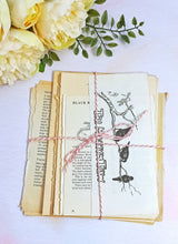Load image into Gallery viewer, Mystery Vintage Book Pages, Vintage Paper Scrapbook Bundle, Old Book Pages