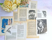 Load image into Gallery viewer, Mystery Vintage Book Pages, Vintage Paper Scrapbook Bundle, Old Book Pages
