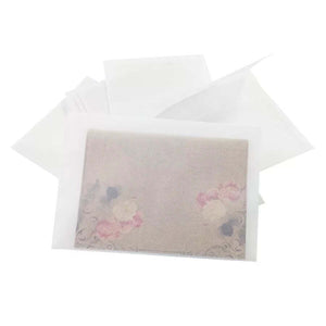 Pack of 10 Vellum Envelopes