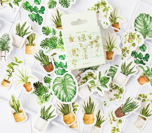 house plant sticker flakes