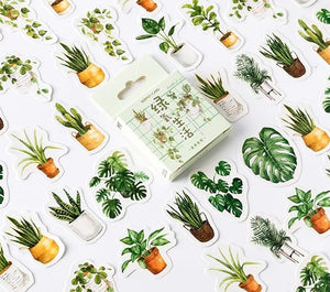 house plant sticker flakes