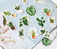 Load image into Gallery viewer, house plant sticker flakes