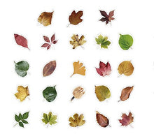 Load image into Gallery viewer, autumn leaves sticker flakes for journaling