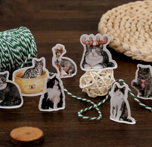 Load image into Gallery viewer, cute cats in hats decorative stickers
