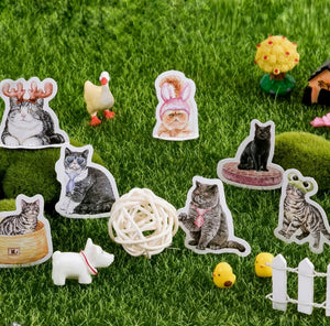 cute cats in hats decorative stickers